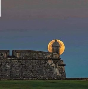 Meet your Posher, Mayra